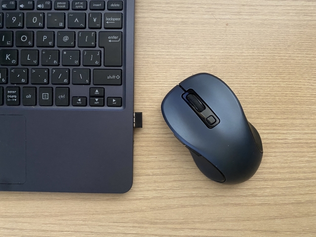 mouse