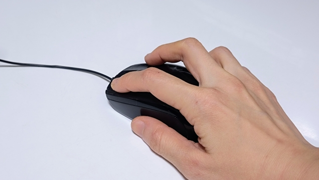 mouse